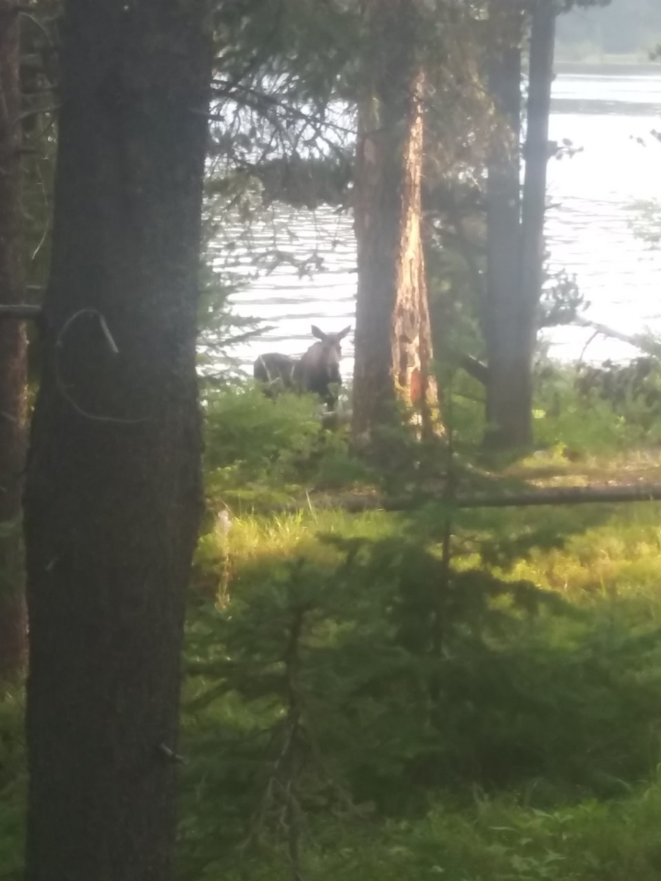 20200905_181816.jpg