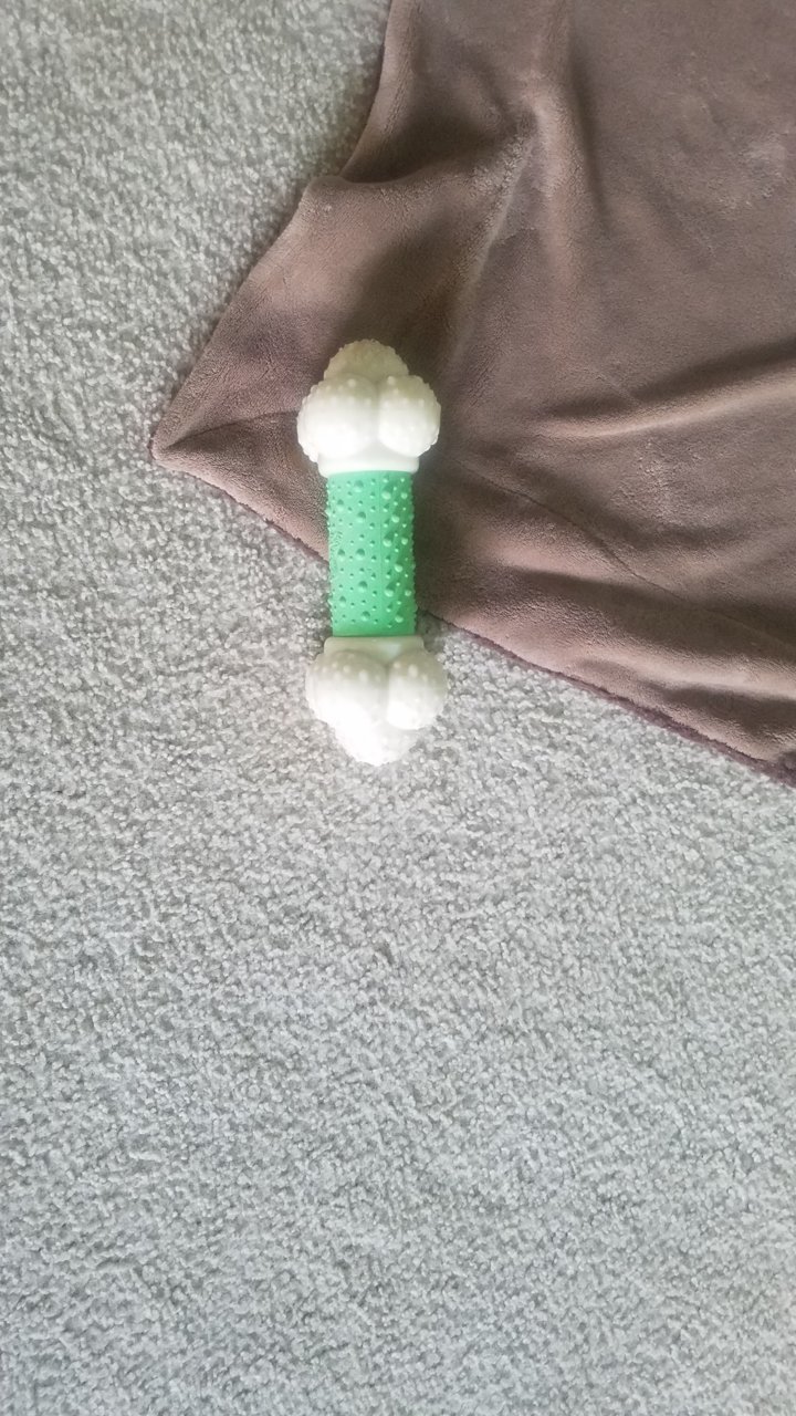 20200906_151726.jpg
