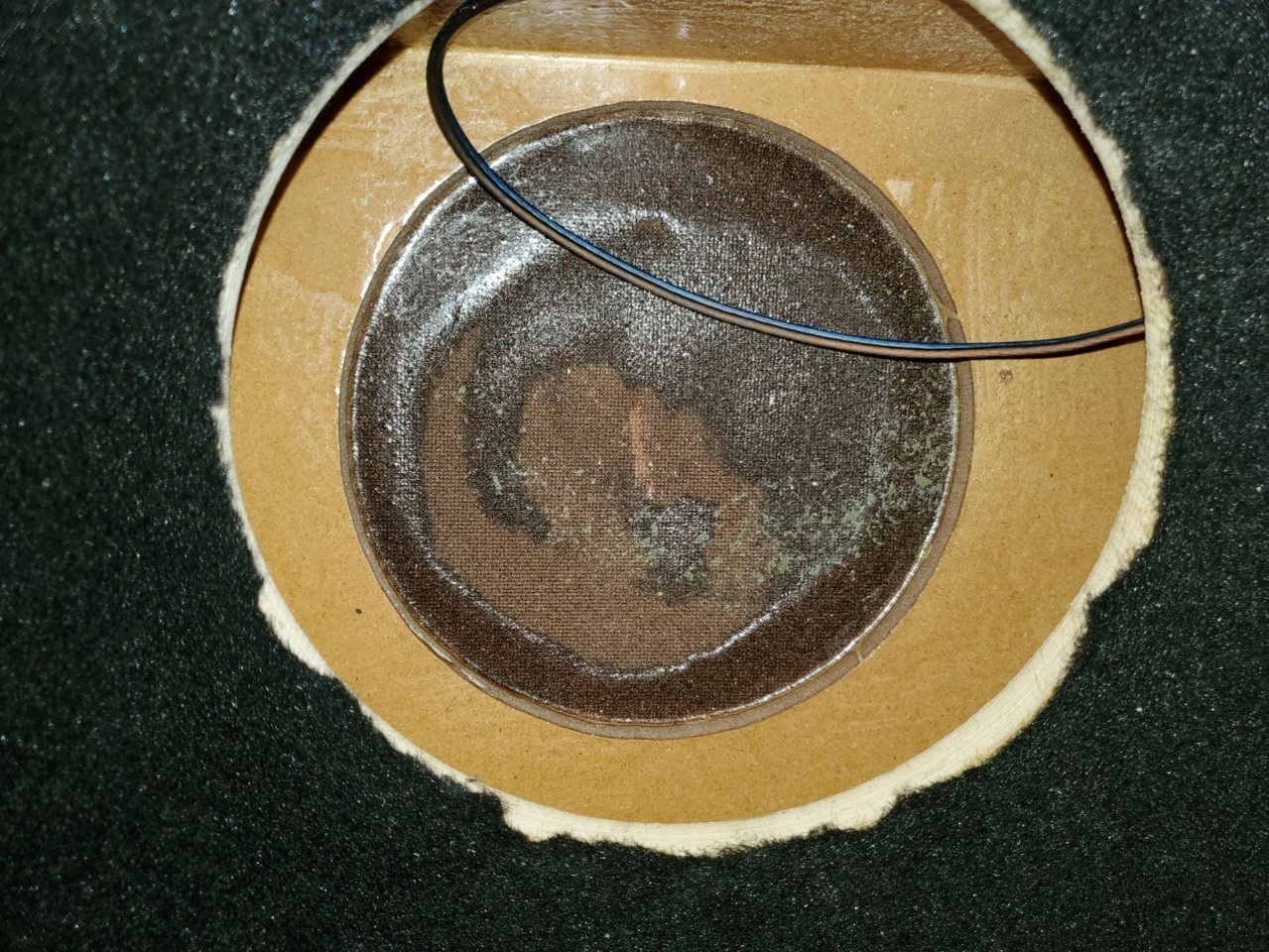 20200924_124504.jpg