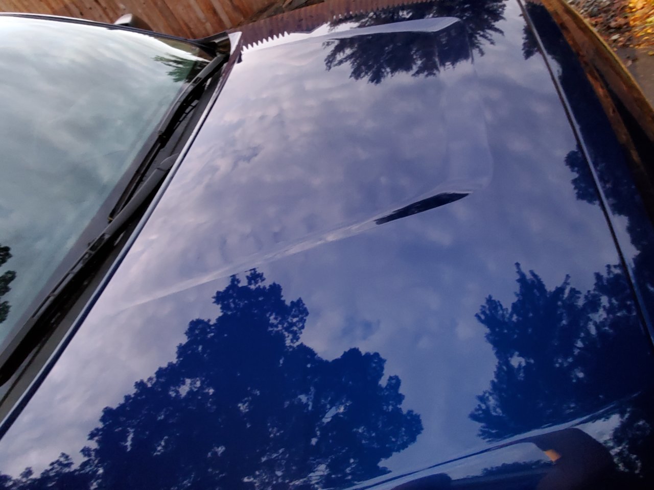 20201001_184428.jpg