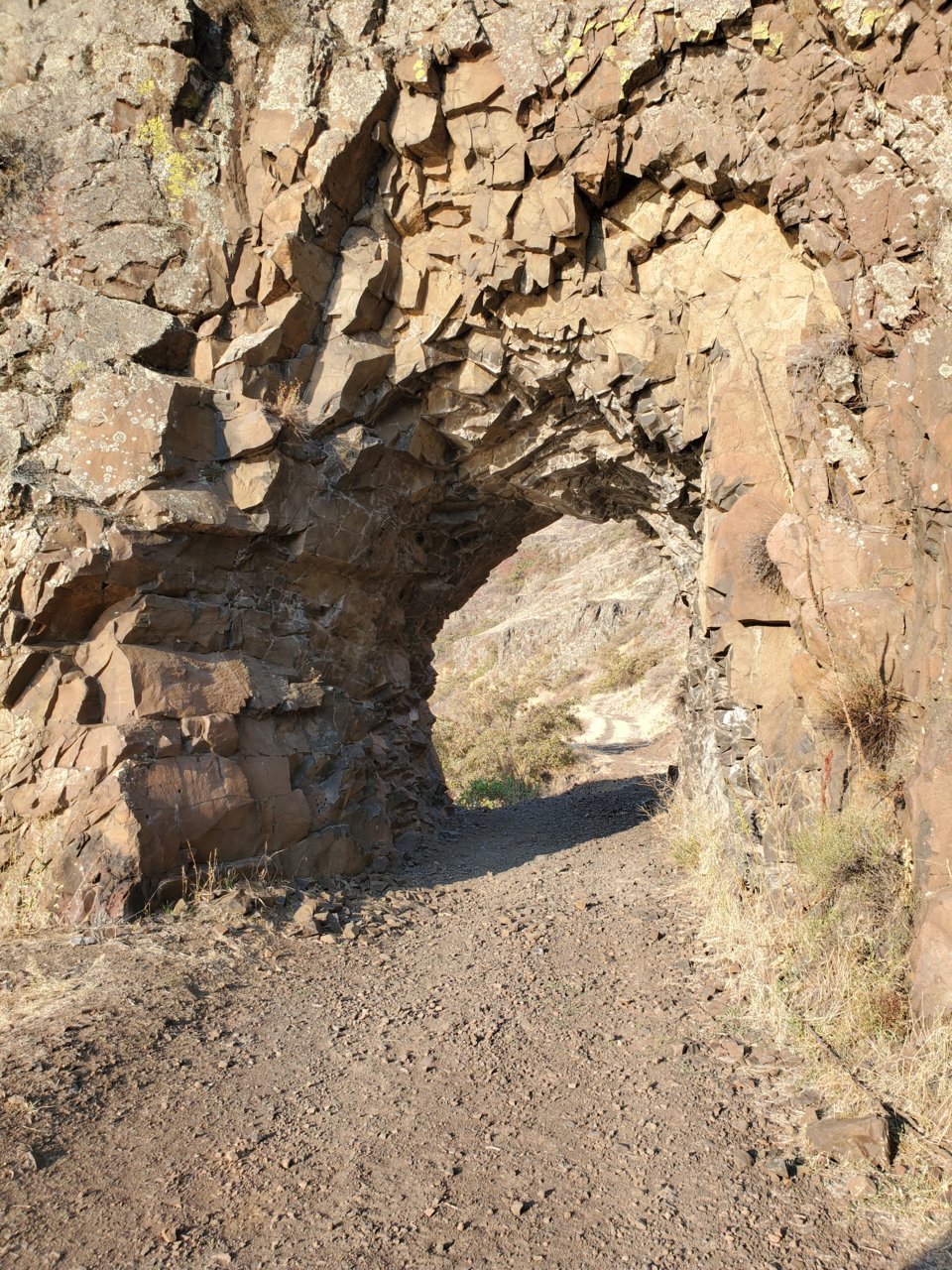 20201003_083339.jpg