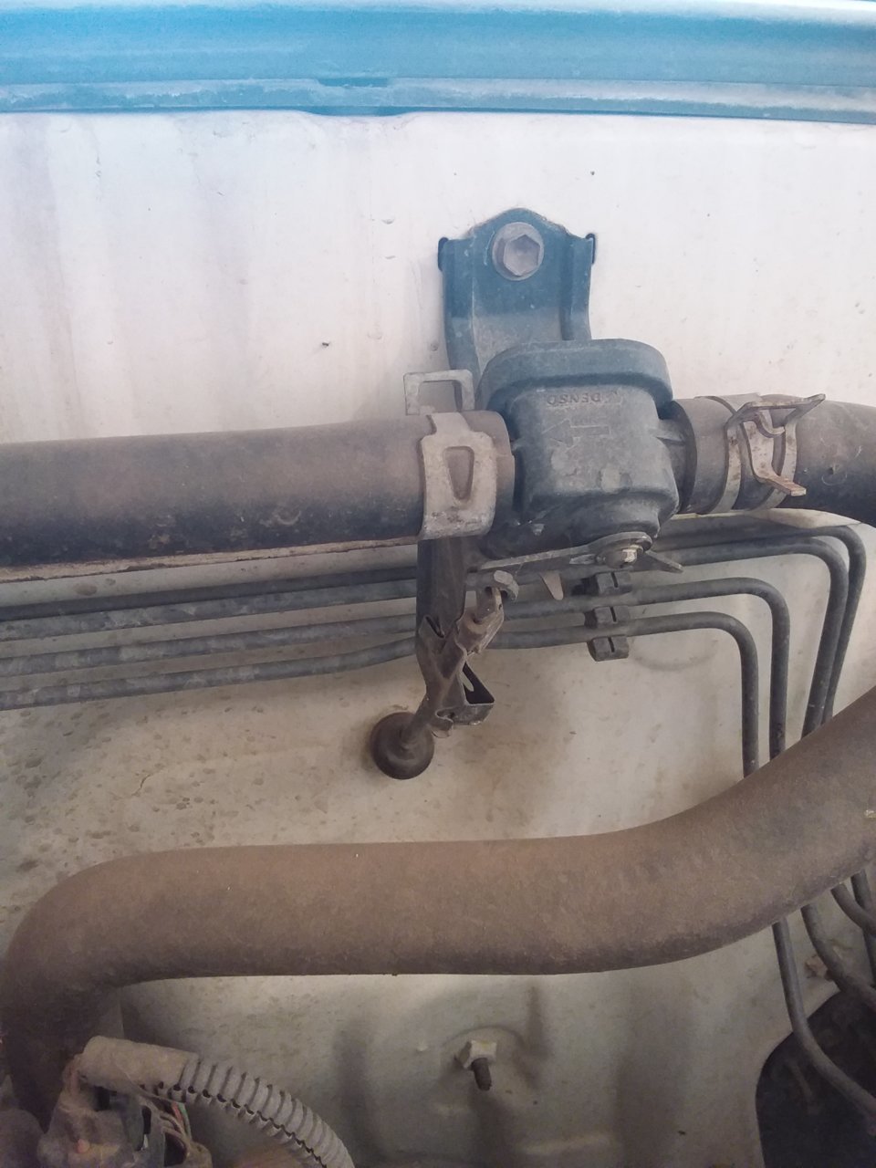 20201003_142602.jpg