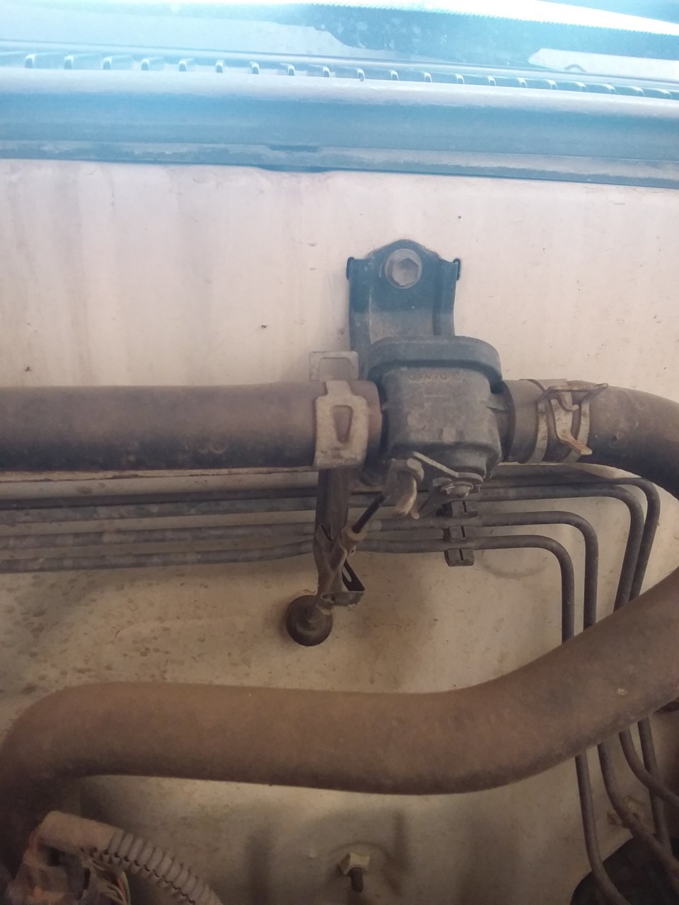 20201003_142636.jpg