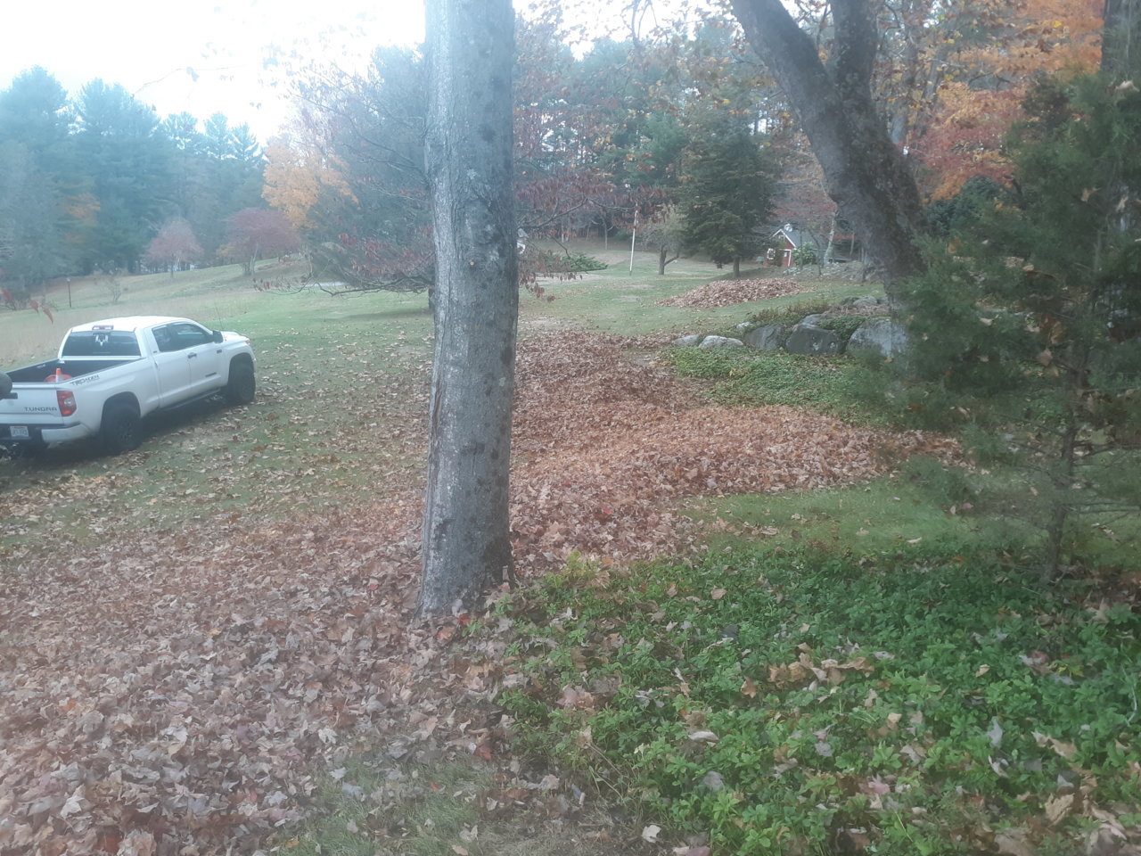 20201023_150949.jpg