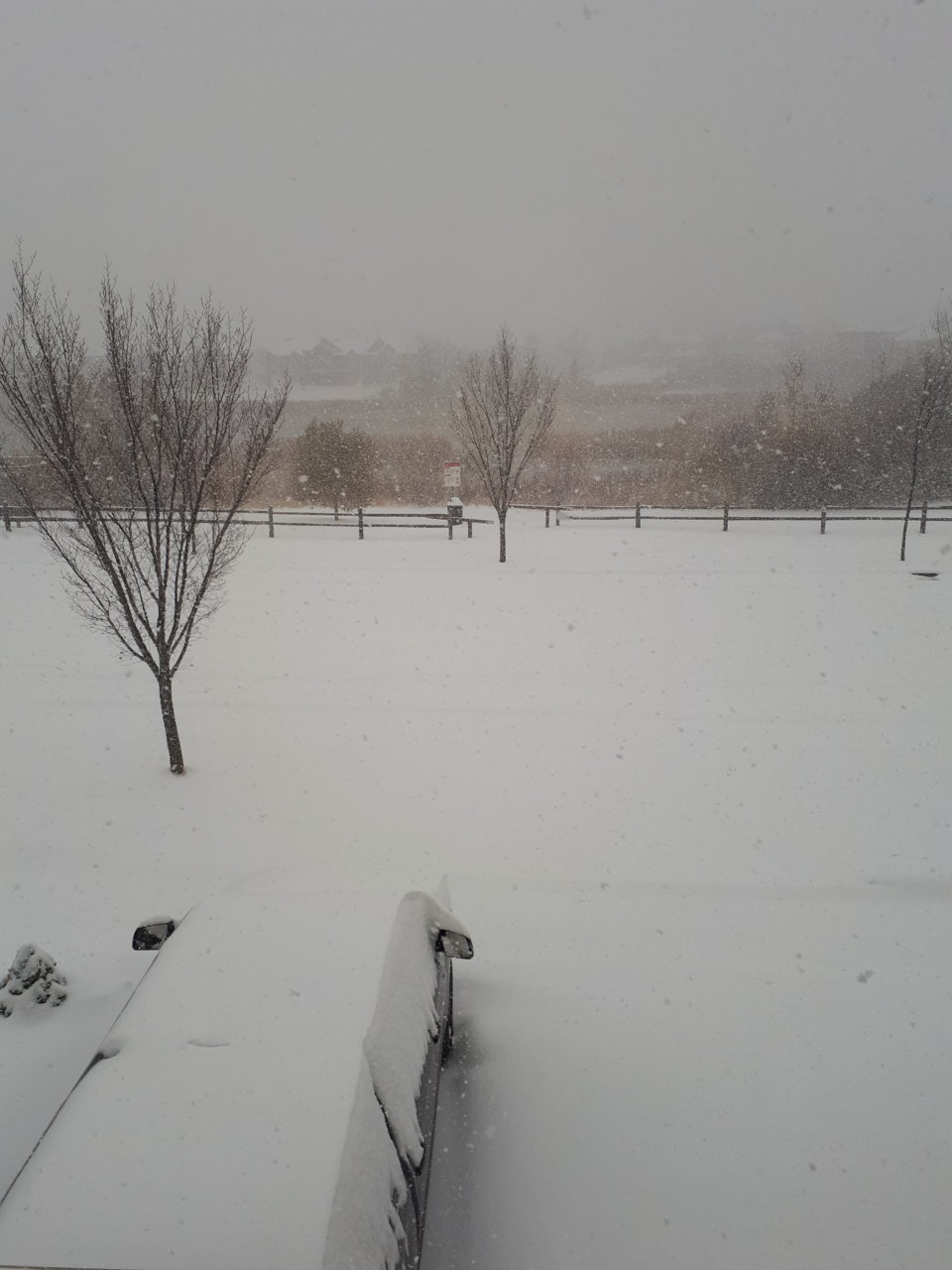 20201107_113425.jpg