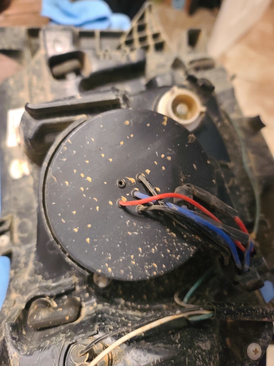 20201107_175518.jpg