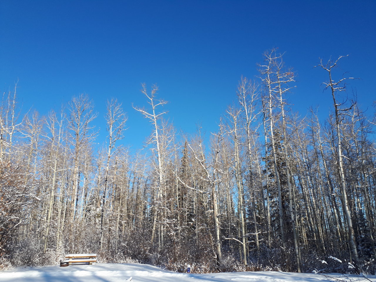 20201128_114056.jpg