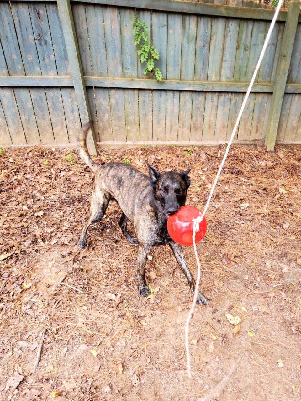 20201213_121317_10.jpg