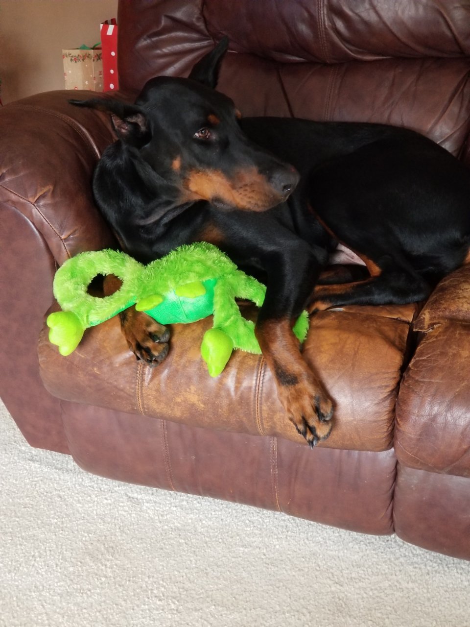 20201224_115924.jpg
