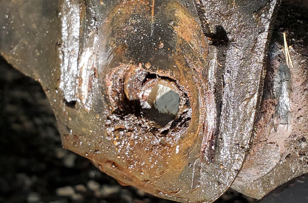 20201228_021554.jpg