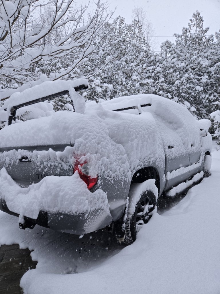 2021 SR5.jpg