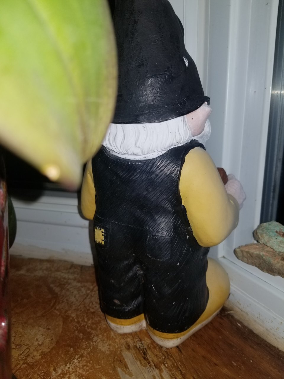 20210113_223835.jpg