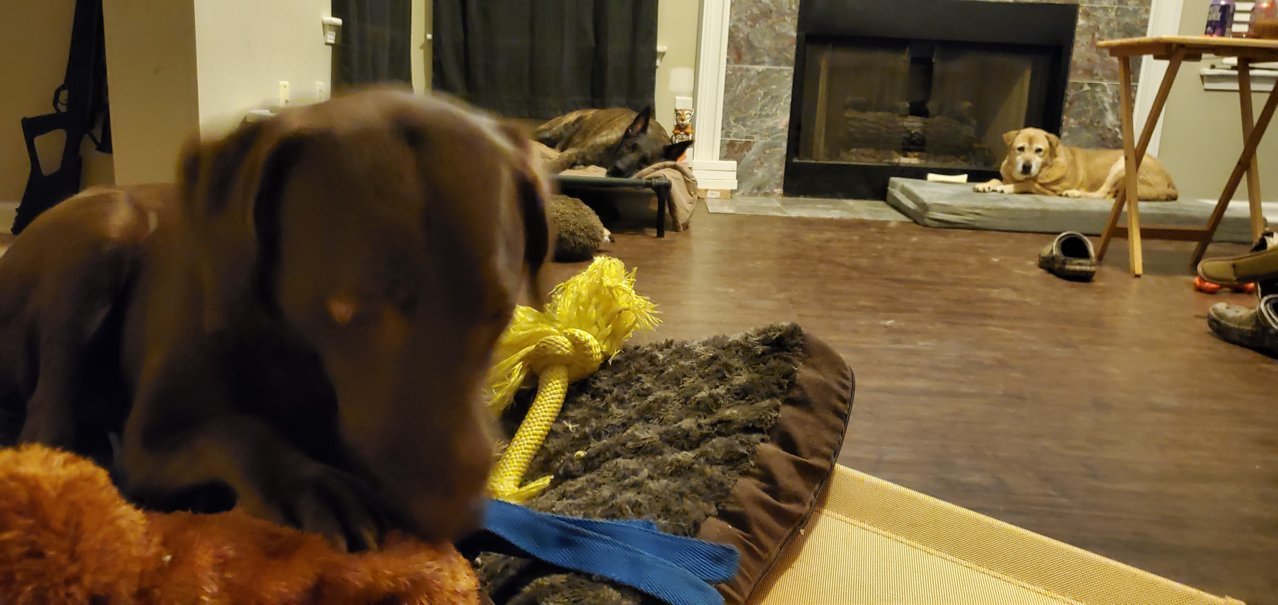 20210313_212304.jpg