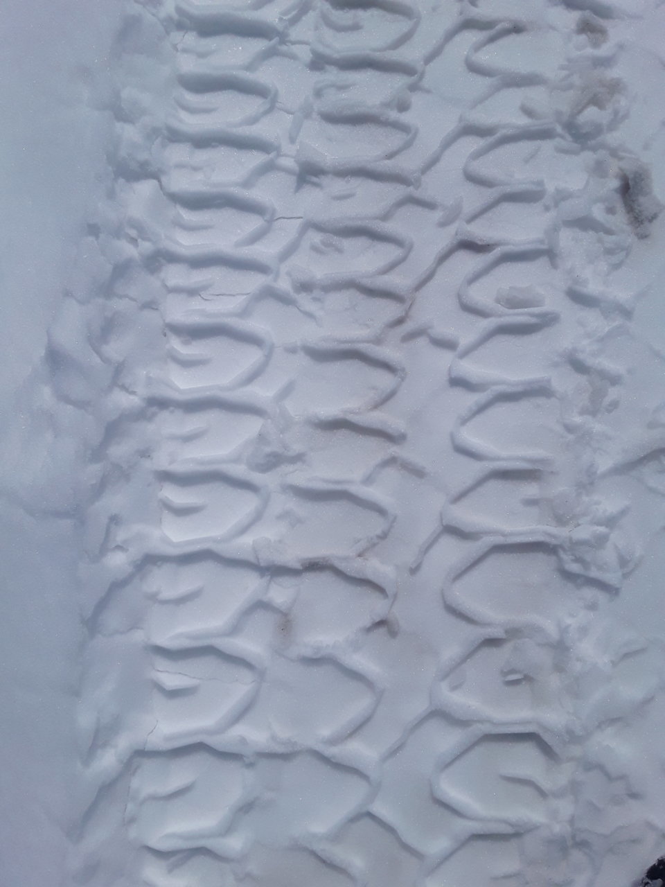 20210315_133009.jpg