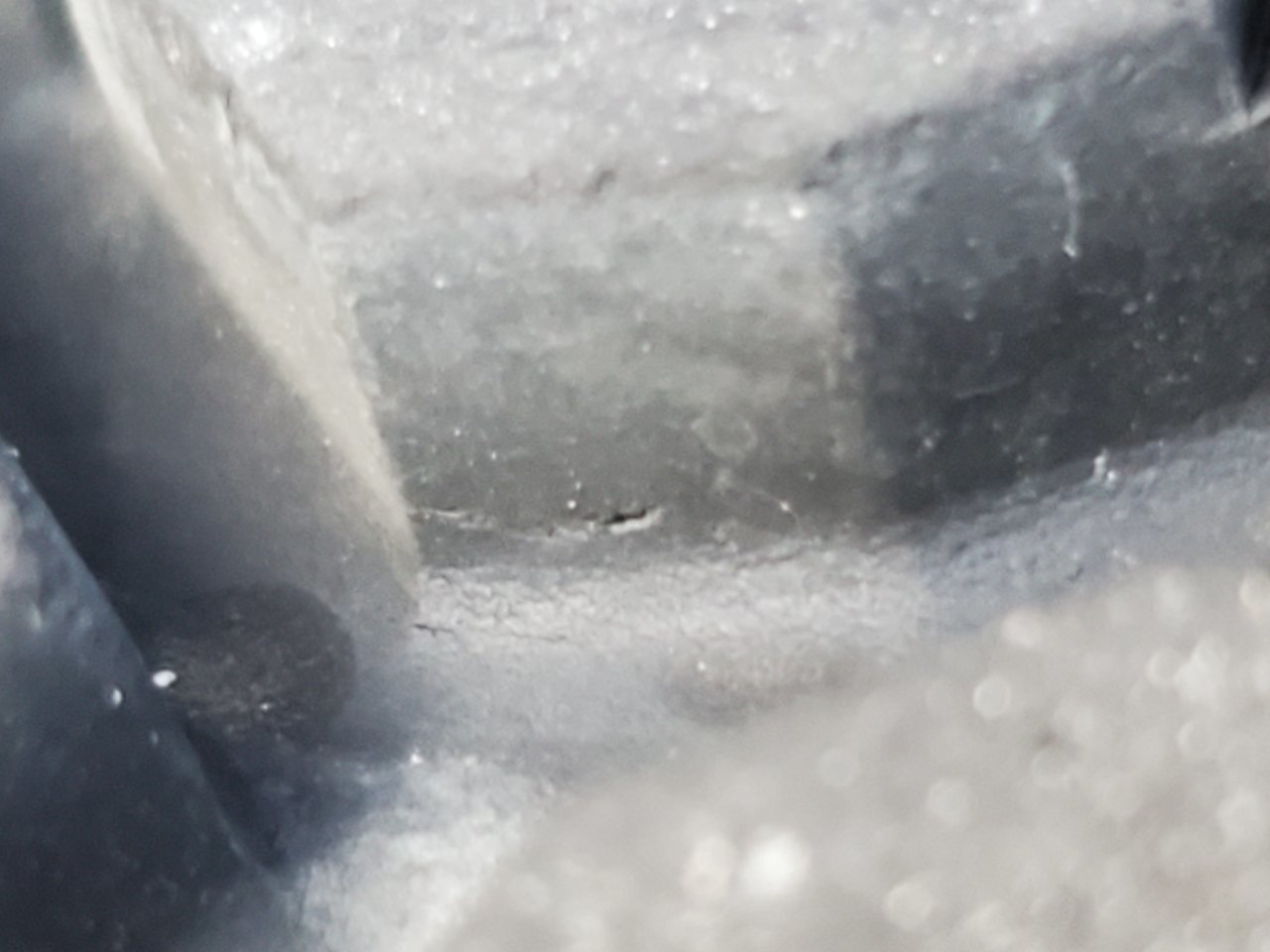 20210319_075031.jpg