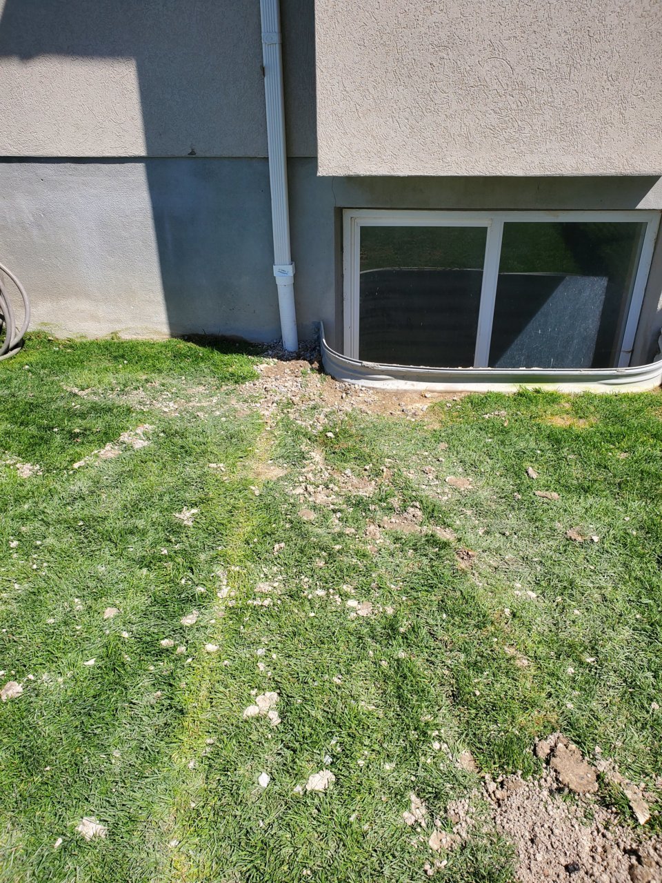 20210410_144725.jpg
