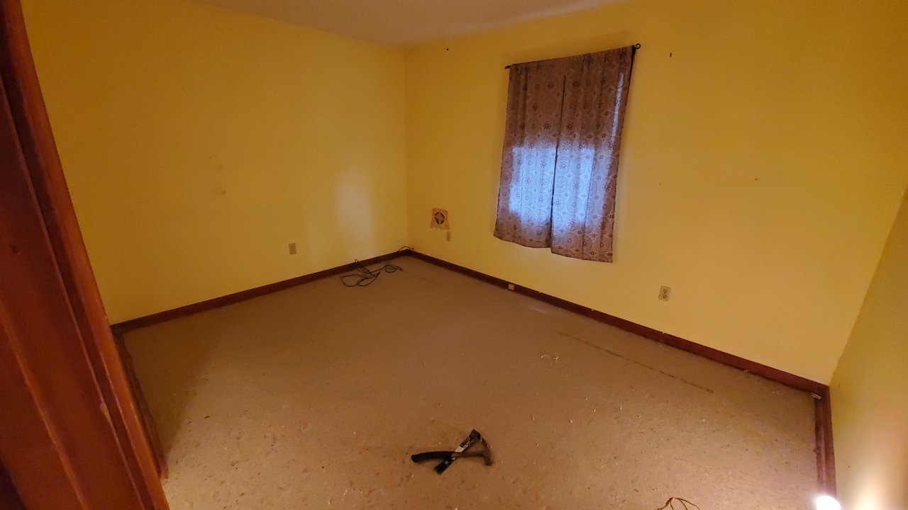 20210412_114230.jpg