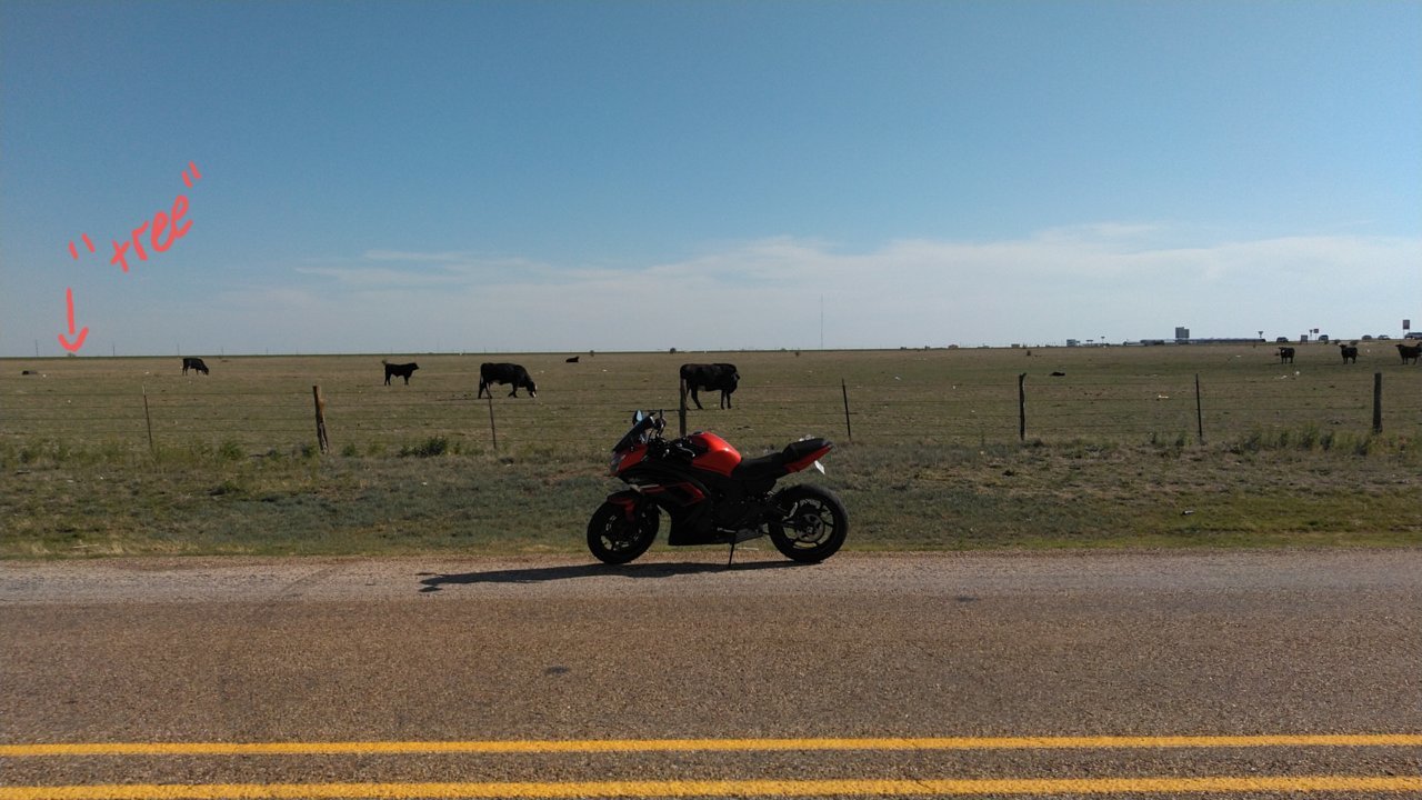 20210512_135130.jpg