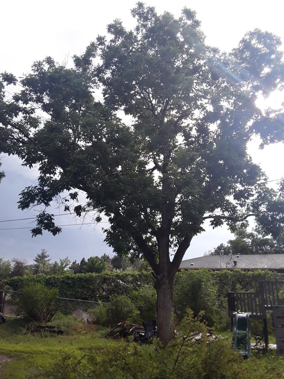 20210613_172448.jpg