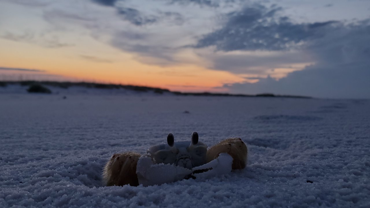 20210703_053722.jpg