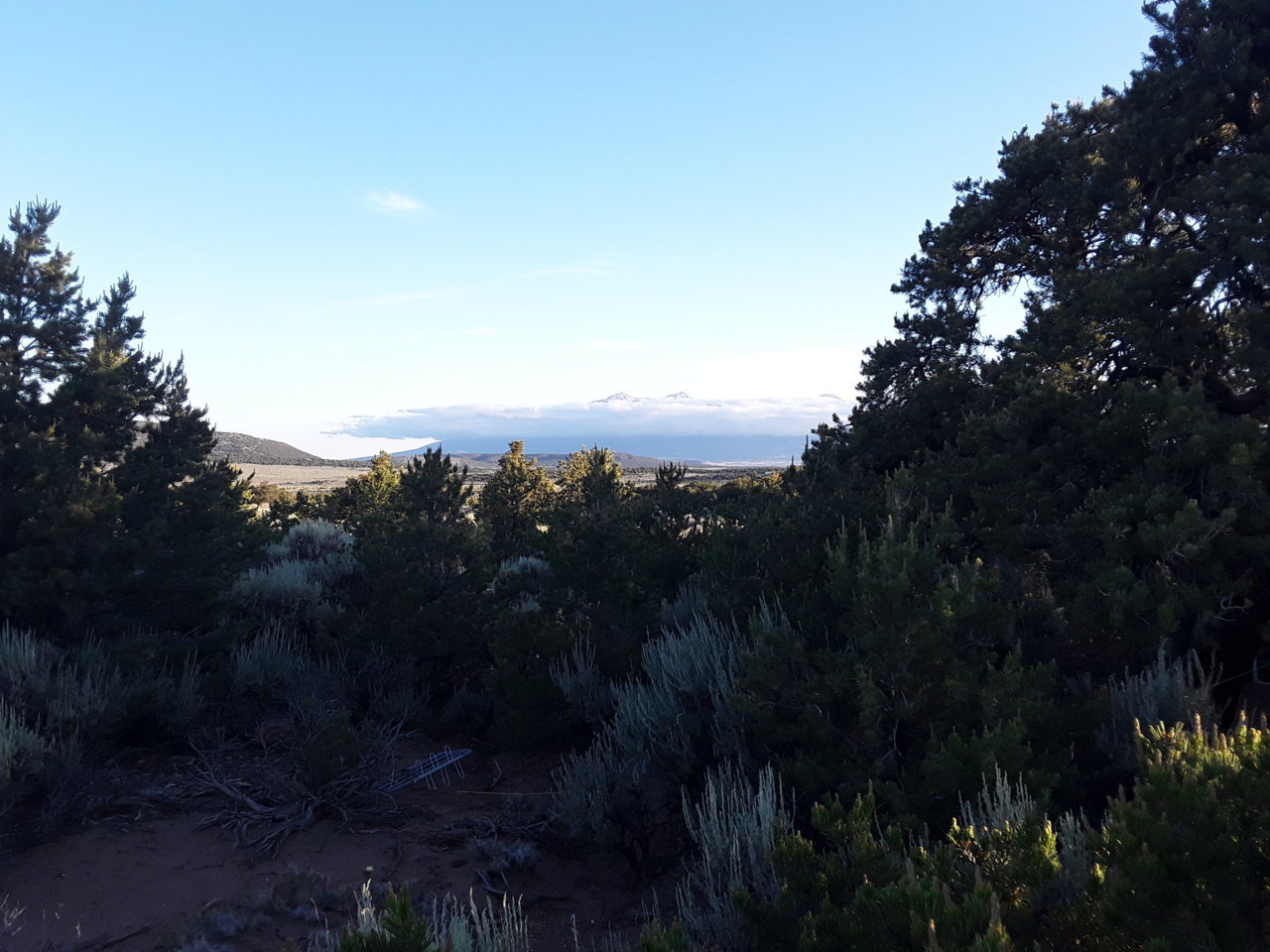 20210703_062626.jpg