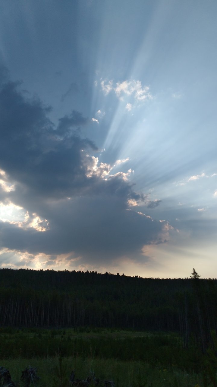 20210709_074603.jpg