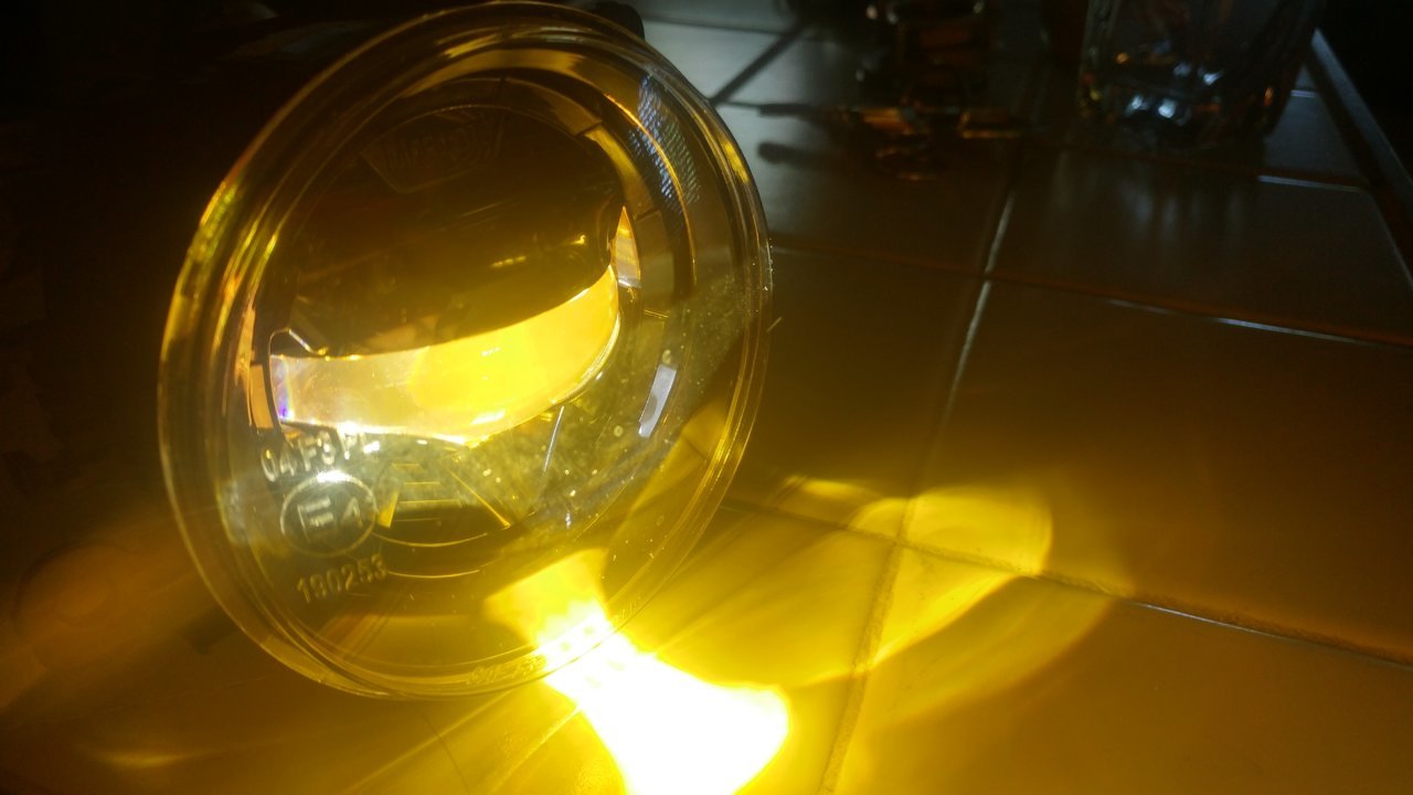 20210710_085926_HDR.jpg