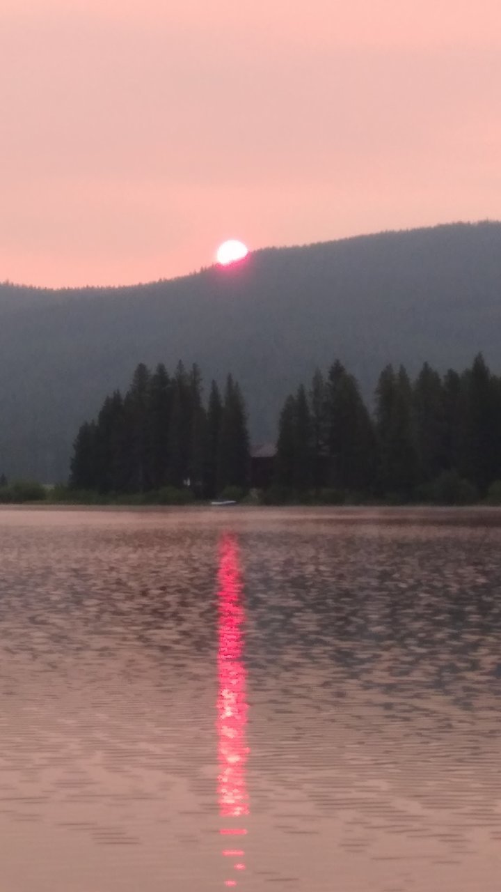 20210717_063448.jpg