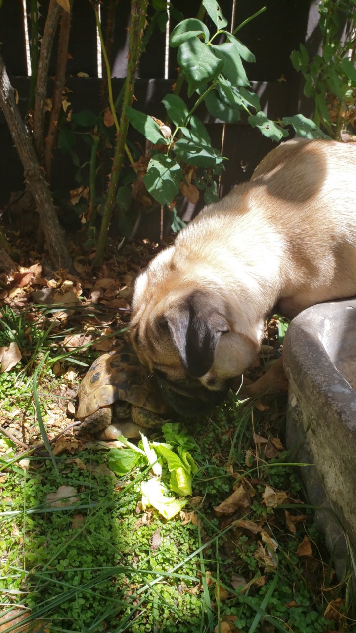 20210727_115432.jpg