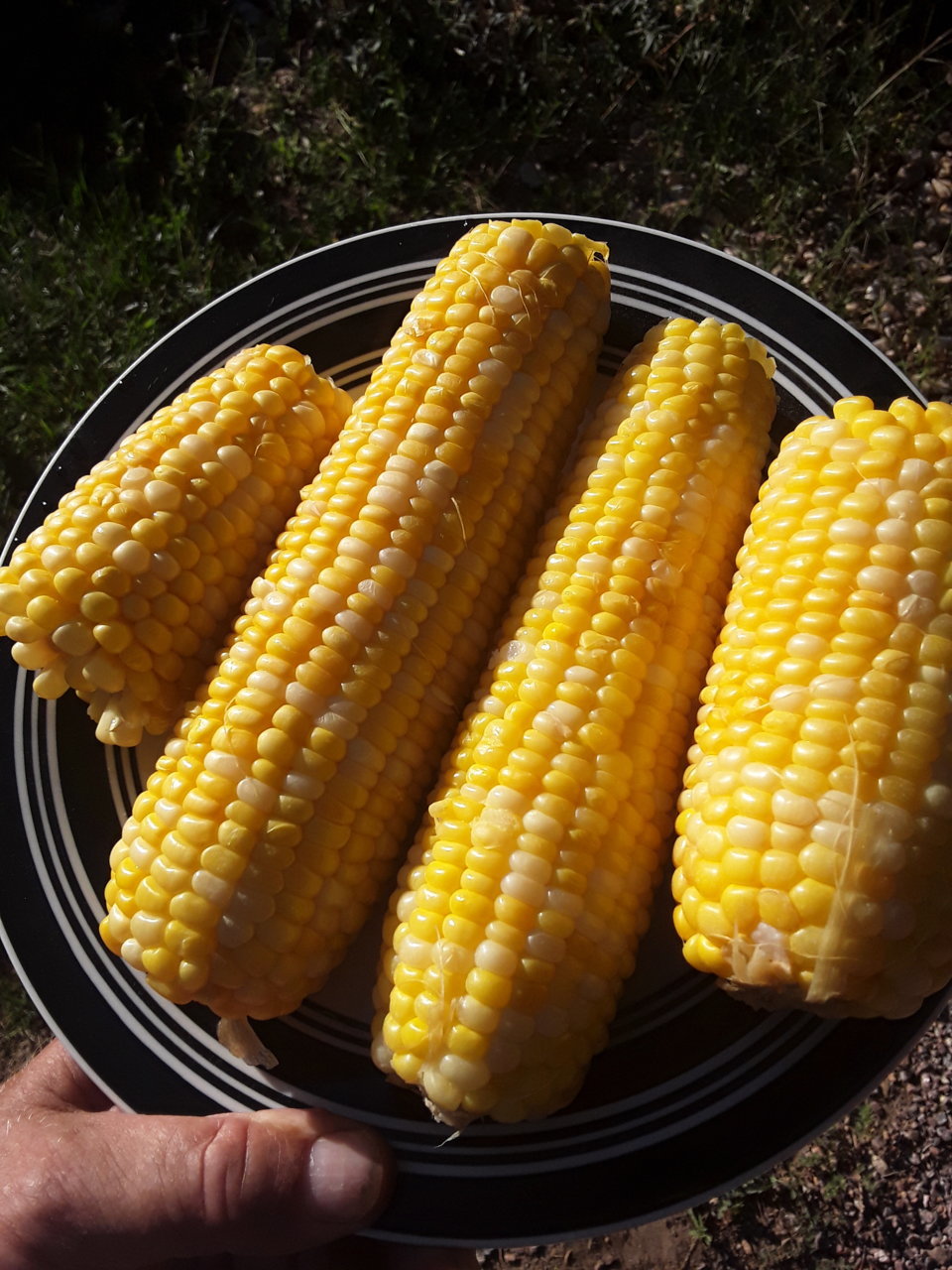 20210822_173243.jpg
