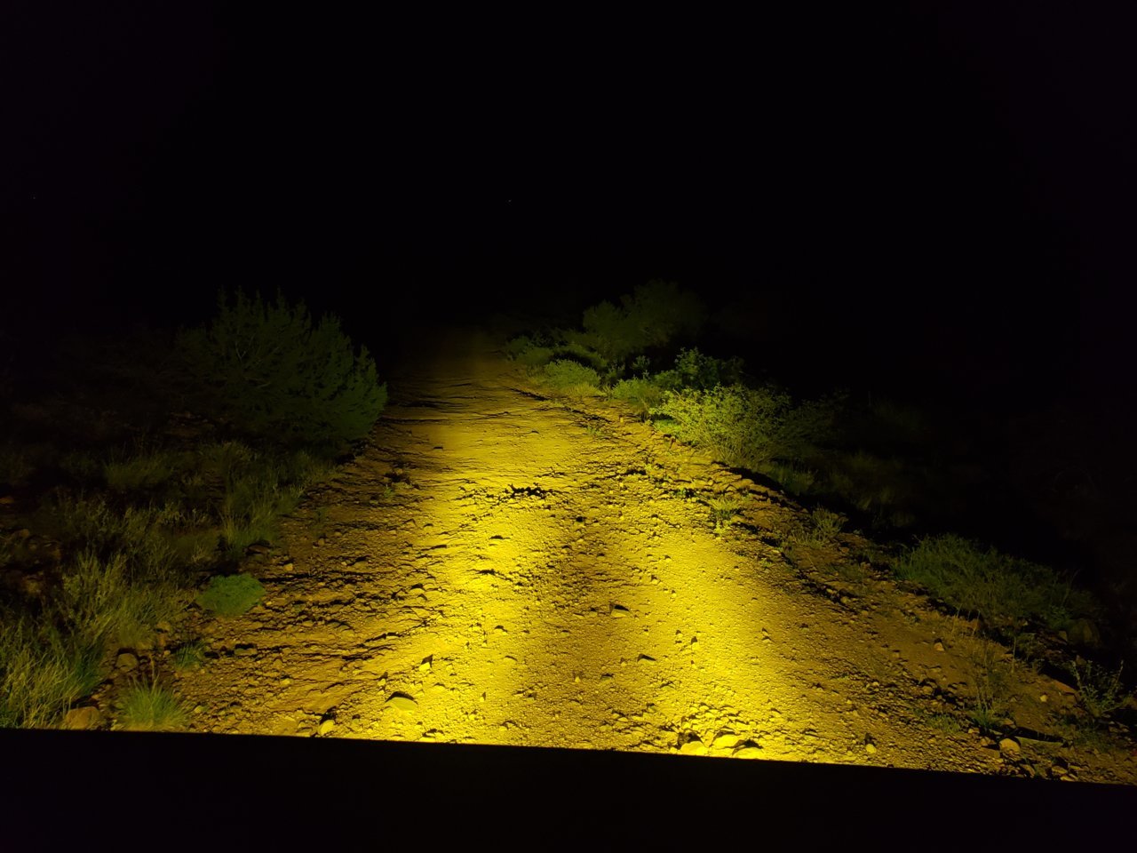 20210827_005303.jpg