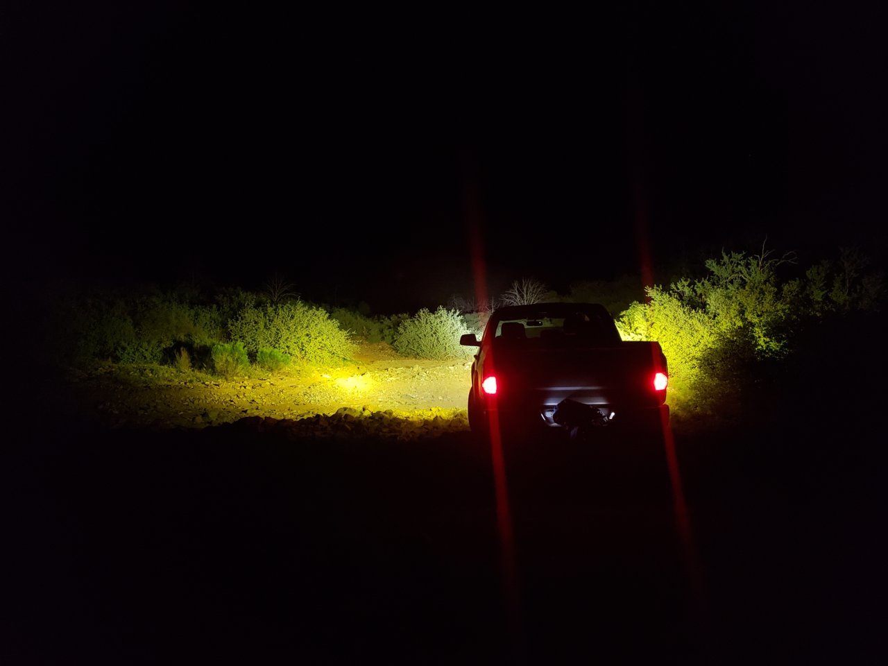 20210827_011354.jpg