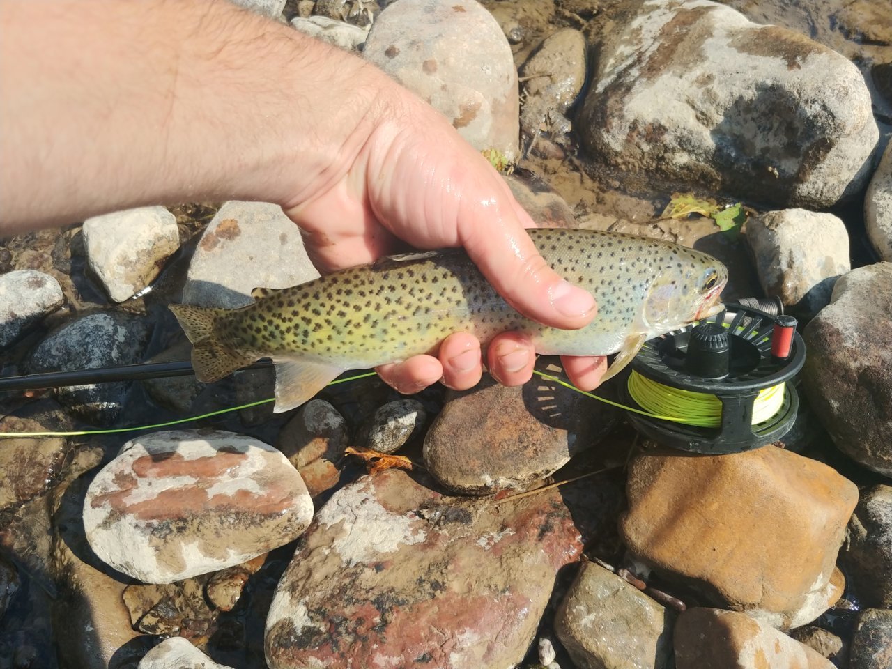20210906_130931.jpg