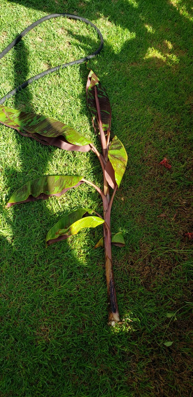 20210908_103817.jpg