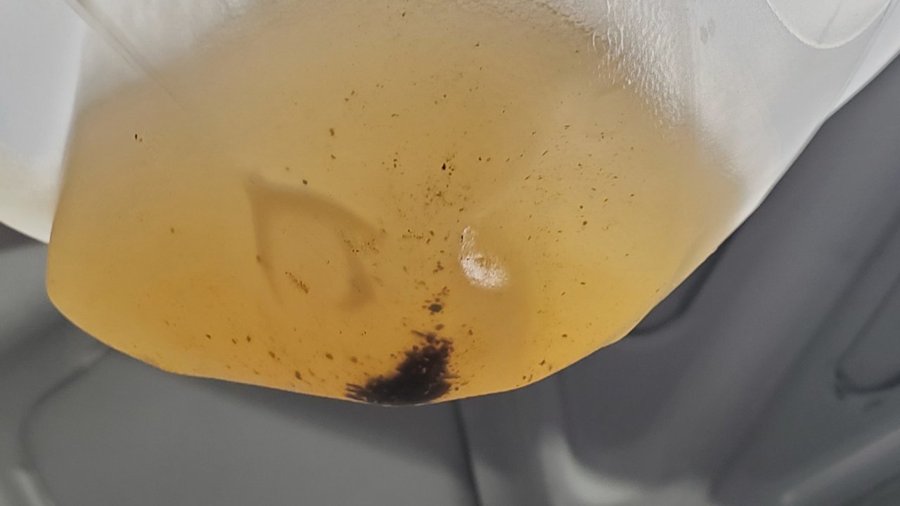 20211011_051329.jpg