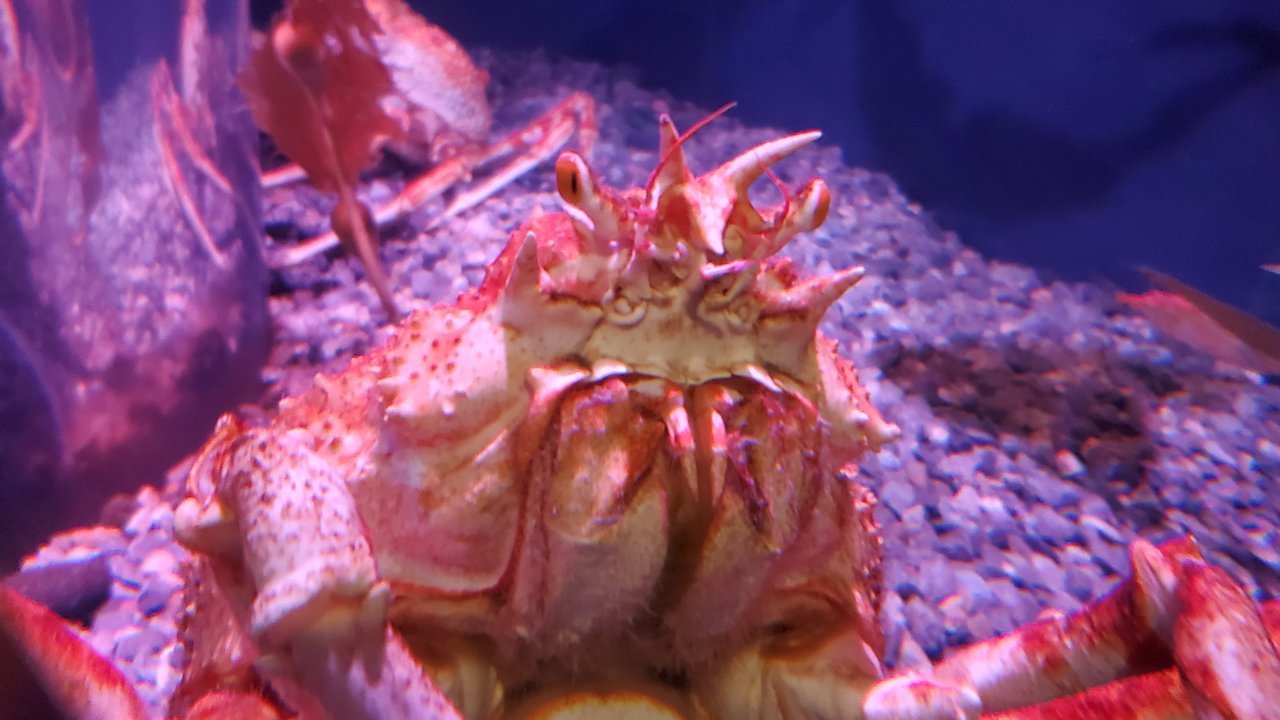20211024_145141.jpg