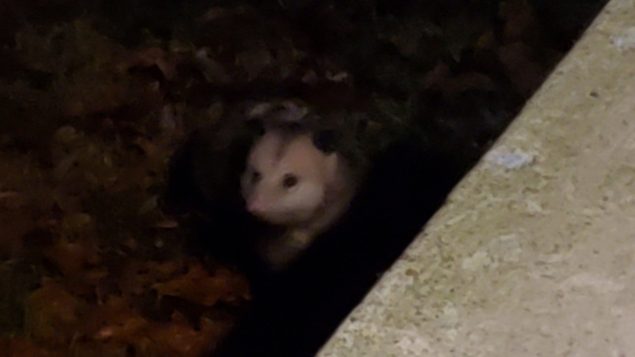 20211206_010419.jpg