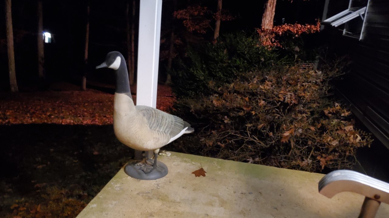 20211206_010541.jpg