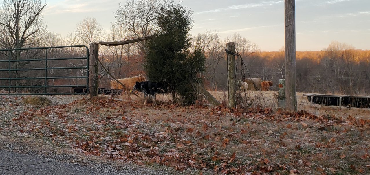 20211207_070956.jpg