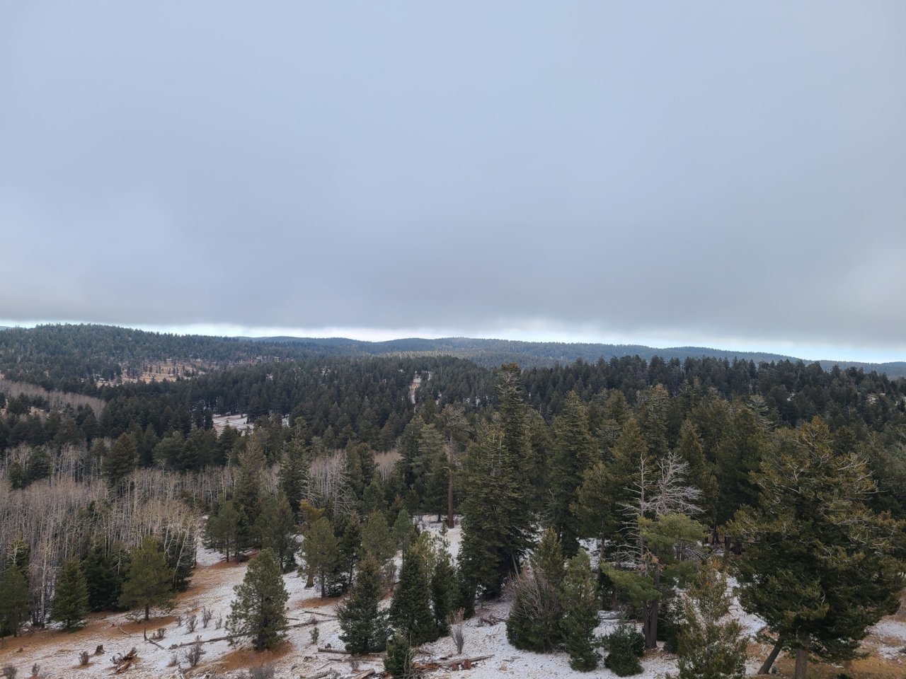 20211230_093155.jpg