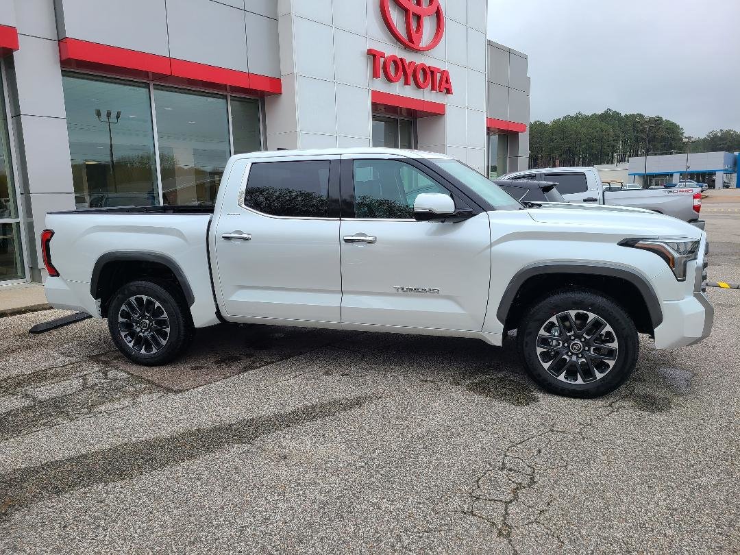 2022 Limited (4).jpg