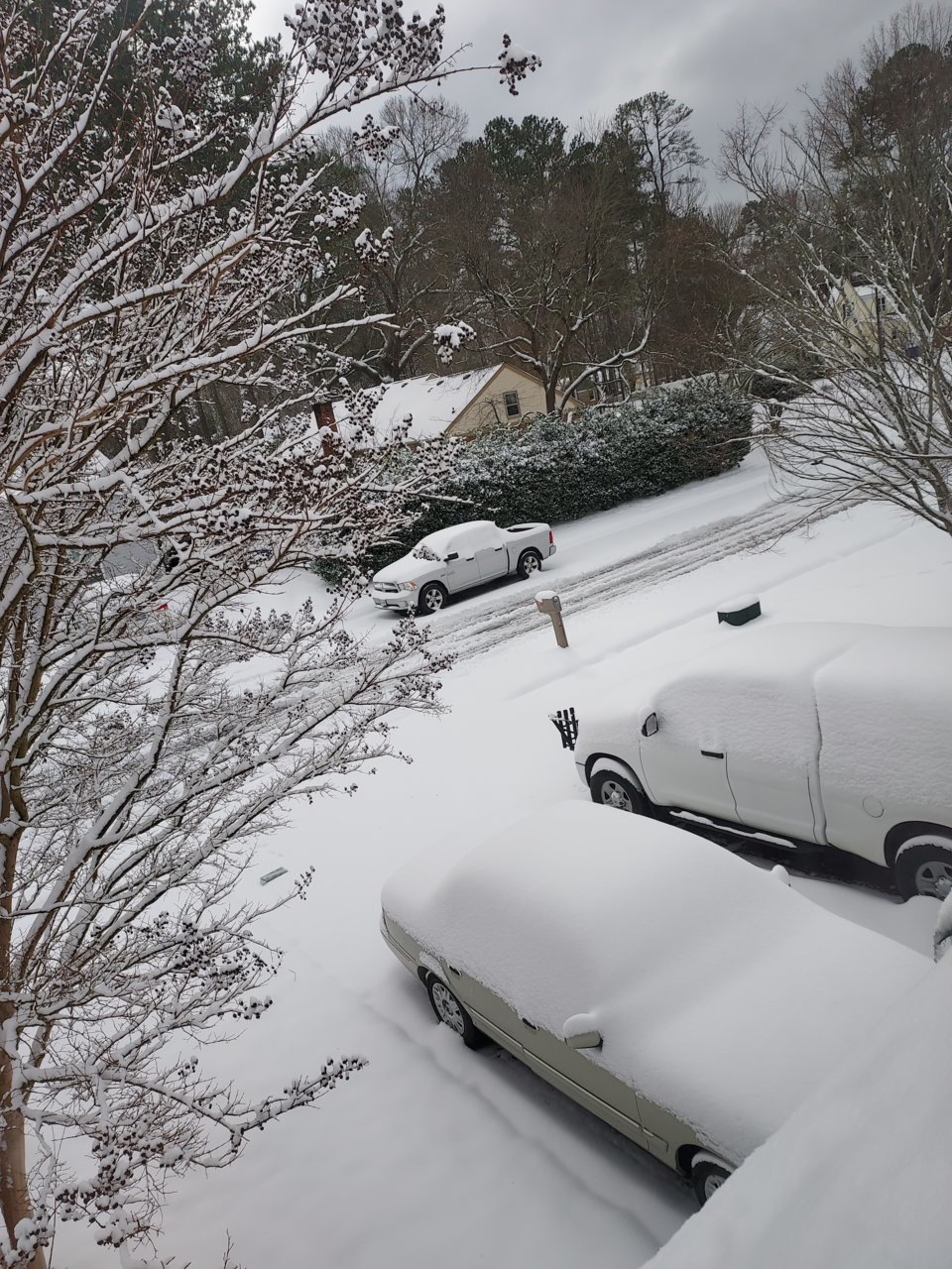 20220122_104454.jpg