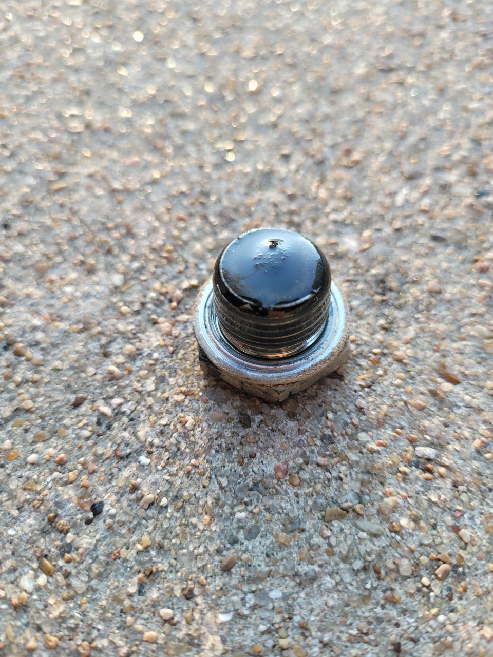 20220130_172407.jpg