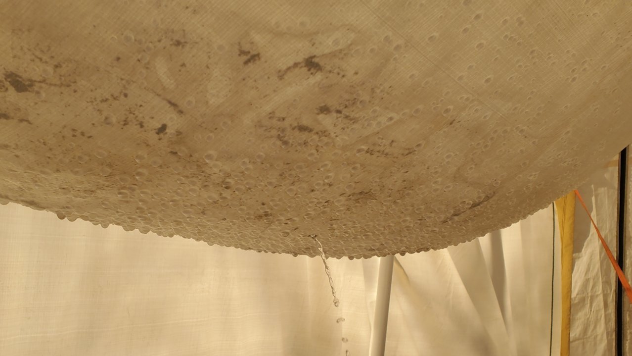 20220208_121609.jpg
