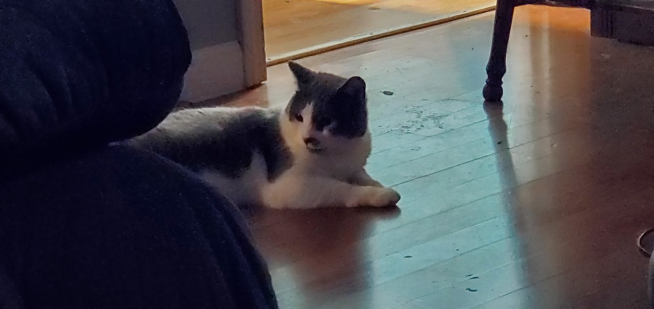 20220311_202928.jpg