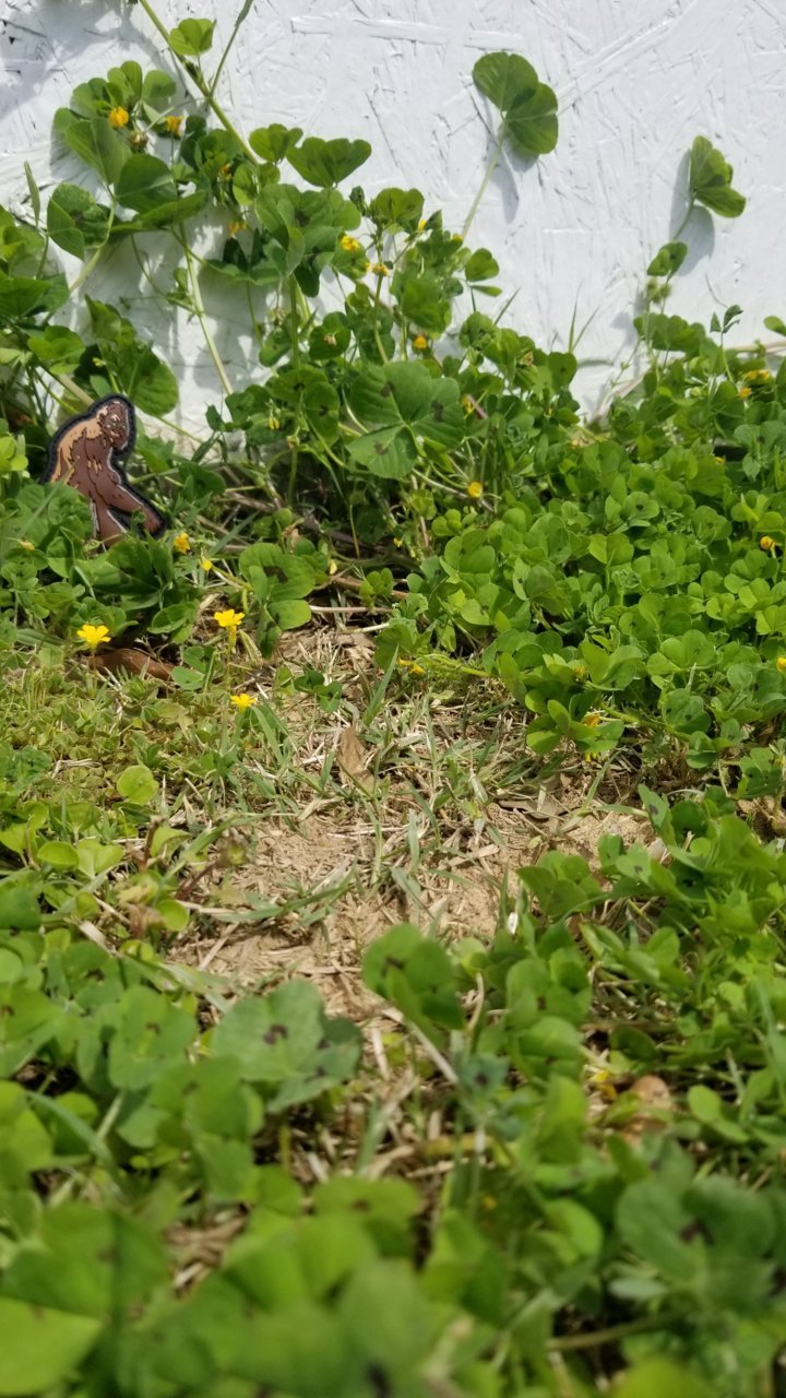 20220325_121554.jpg