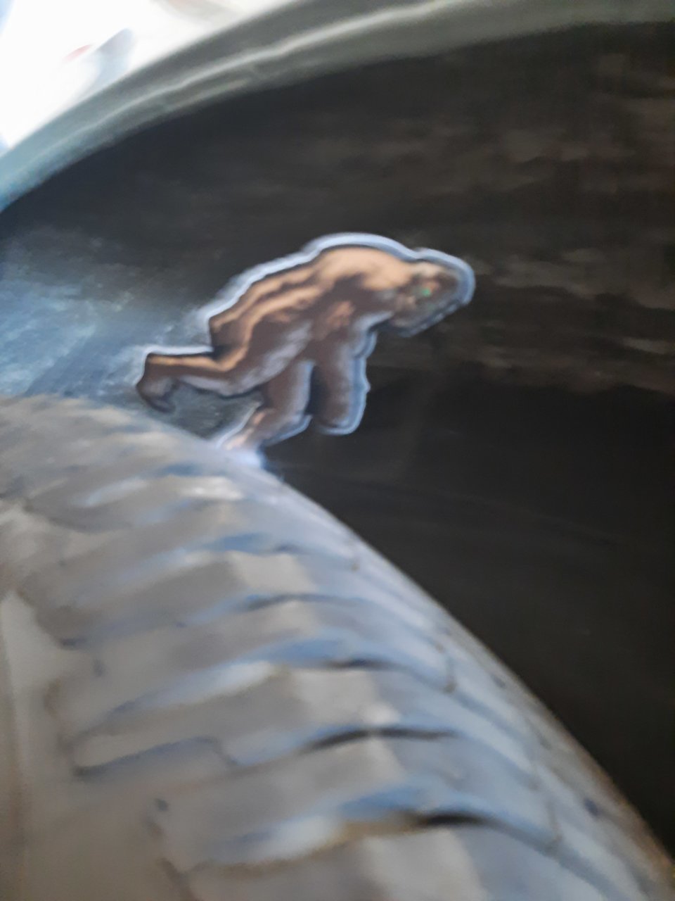 20220328_191605.jpg