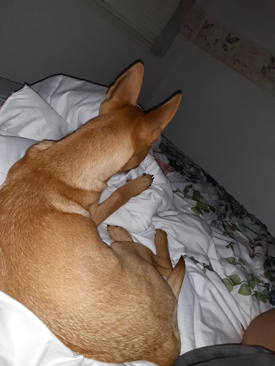 20220413_191117.jpg