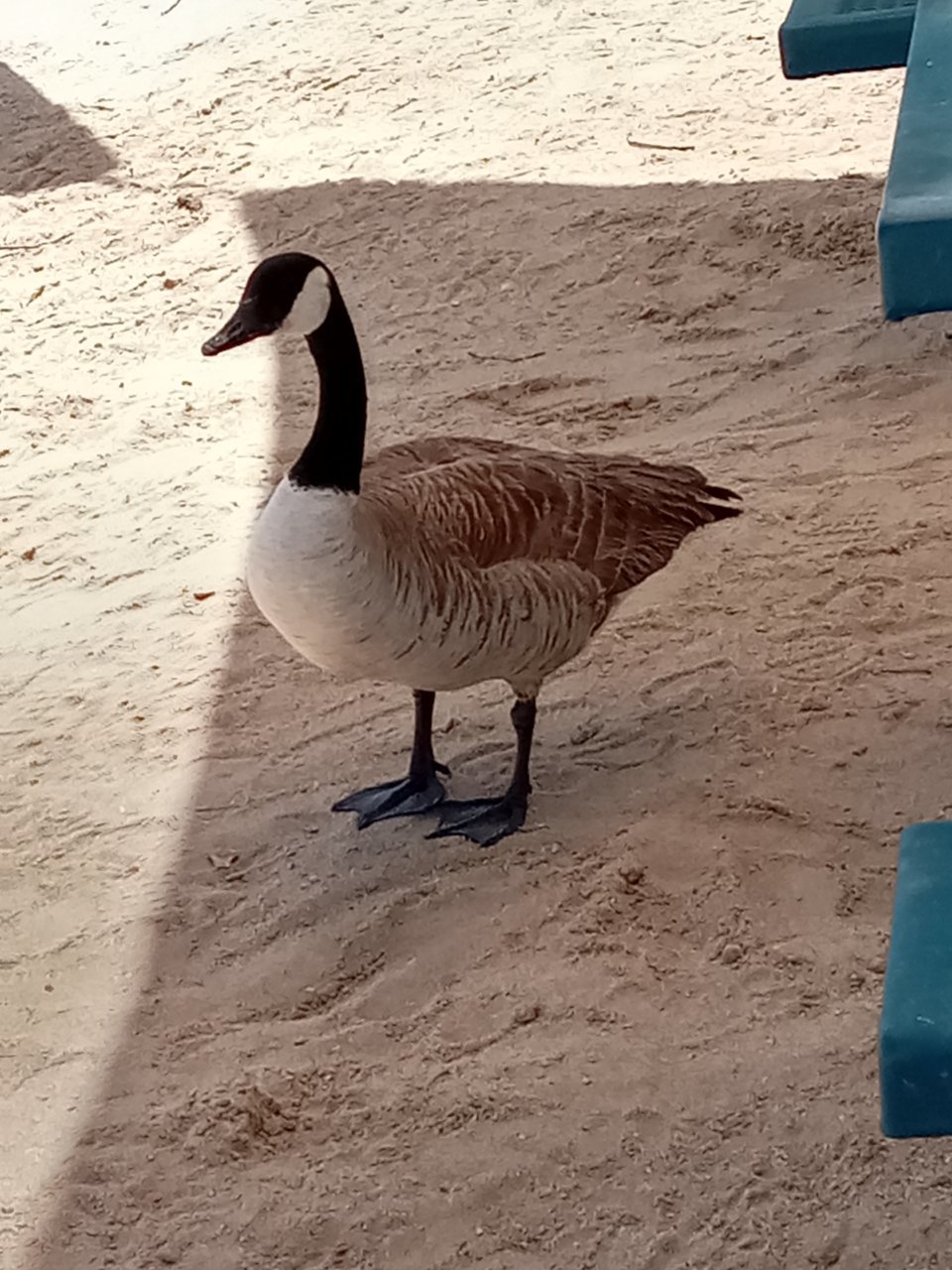 20220603_113800.jpg