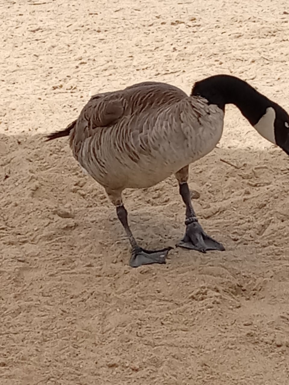 20220603_115706.jpg